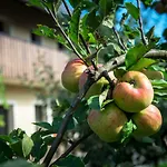 Pr'jernejc Agroturism Lesce (Upper Carniola)