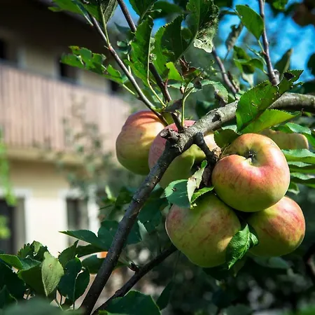 Pr'jernejc Agroturism Lesce (Upper Carniola)