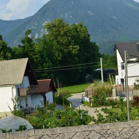 Κατάλυμα σε φάρμα Pr'jernejc Agroturism Lesce (Upper Carniola)