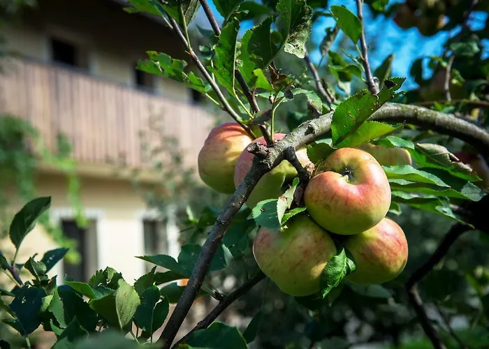 Pr'jernejc Agroturism ليسْتْسي